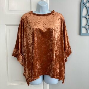 Adrienne Velvet Top in Warm Brown